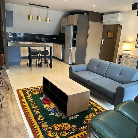 Appartement Spacious Flat Close To The Railway Station Troyes