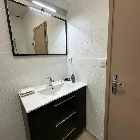 Spacious Flat Close To The Railway Station * Troyes